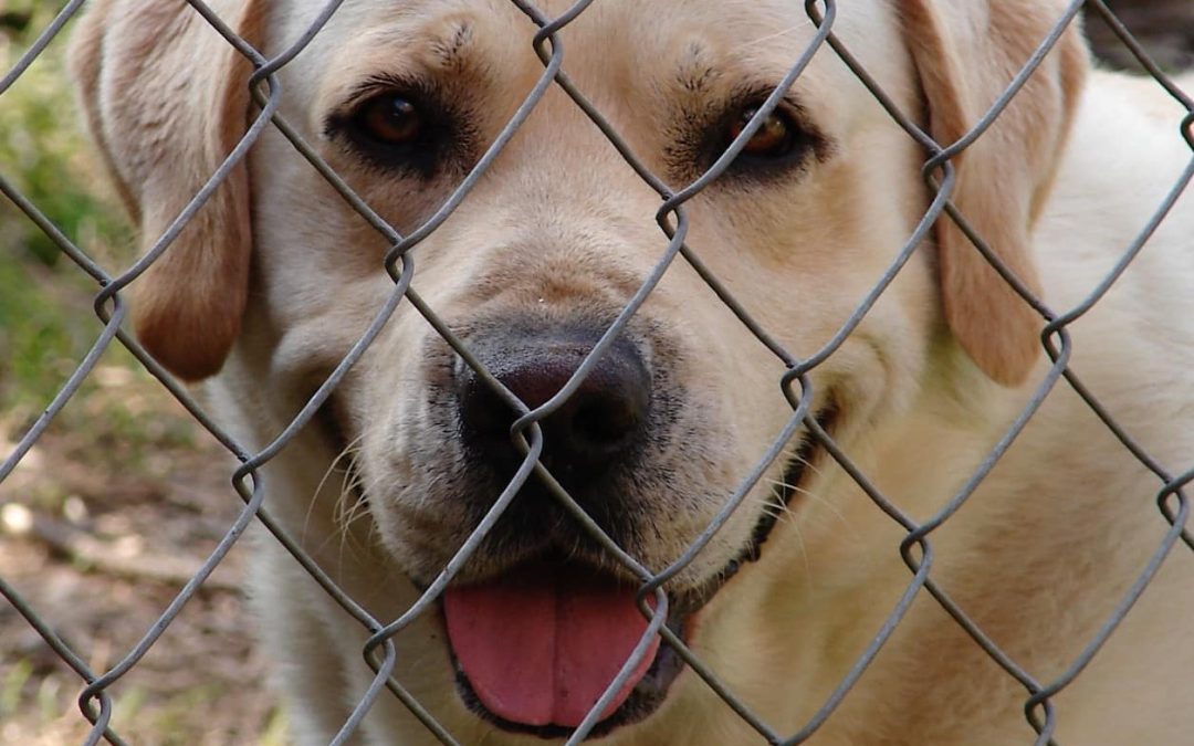 The Real Benefits of Professional CCTV Installation in South West England