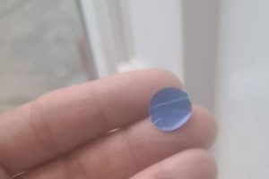 Blue Stickers